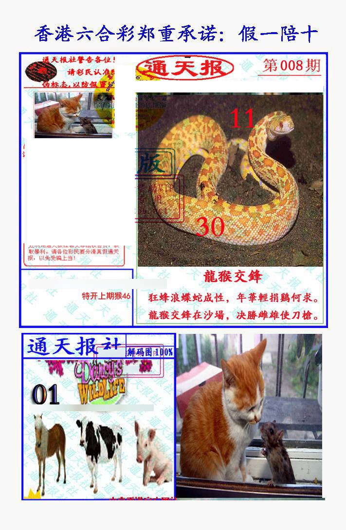 008期假一陪十通天报[图]