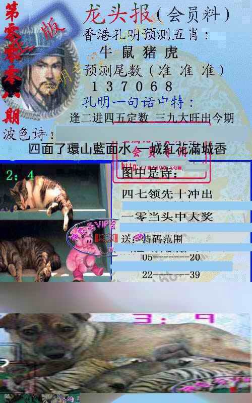 008期龙头报[图]