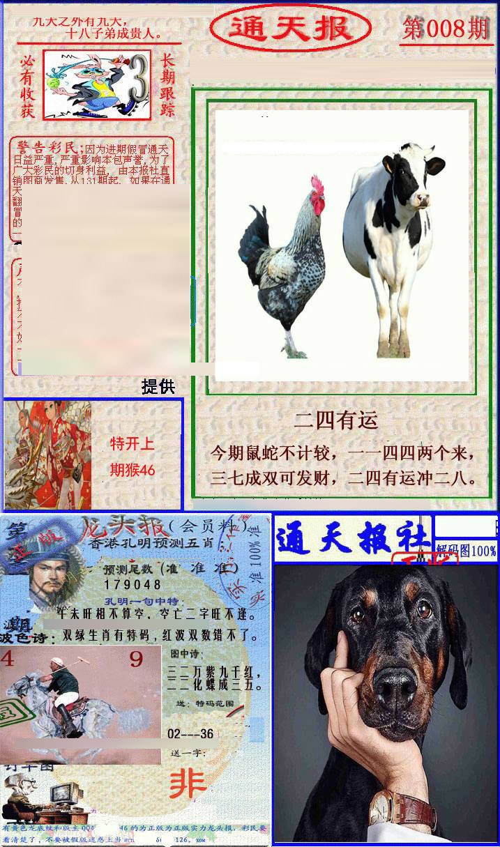 008期实力通天报[图]